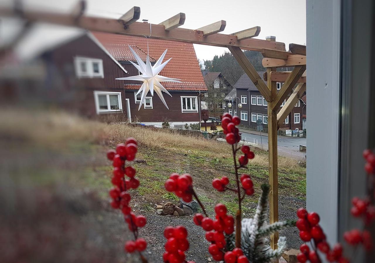 Harzer Rabe Διαμέρισμα Braunlage Εξωτερικό φωτογραφία